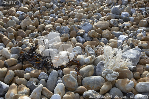 Image of Rope on the beach