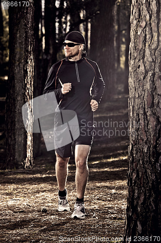 Image of Runing in the forest