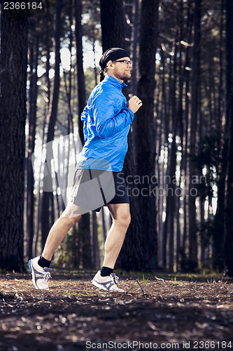 Image of Runing in the forest