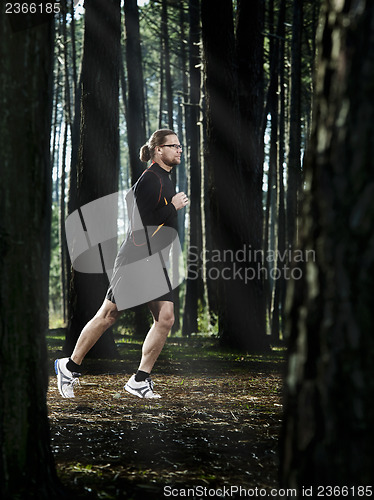 Image of Runing in the forest