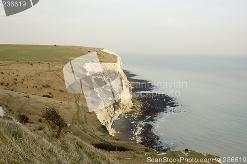 Image of White cliffs