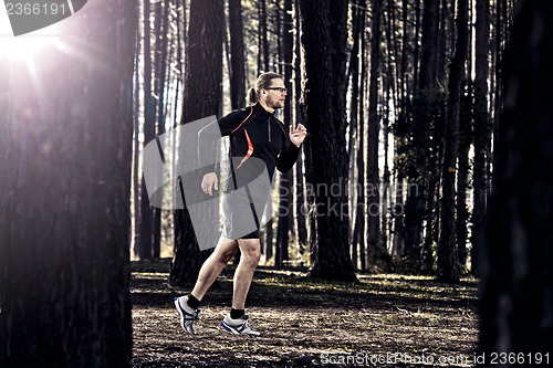 Image of Runing in the forest