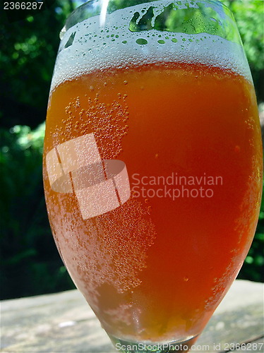 Image of IPA beer