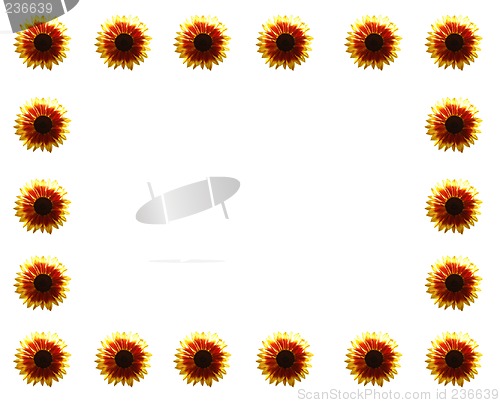 Image of border with sunflowers
