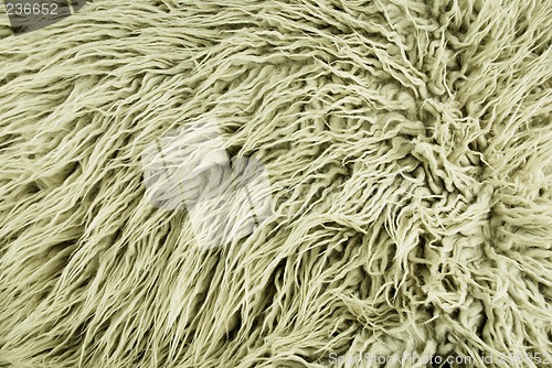 Image of wool