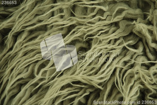 Image of wool