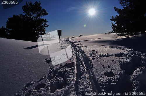 Image of Tracks