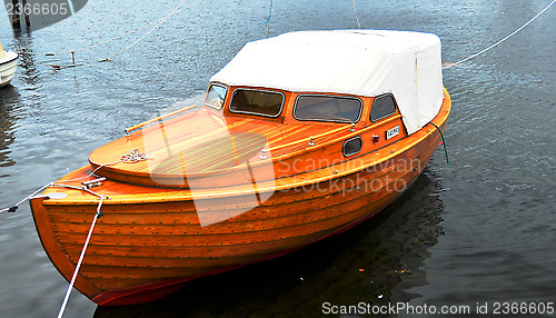 Image of Pine cruiser