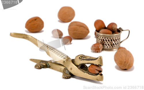 Image of nut crack crush tool cobnut walnut isolated 