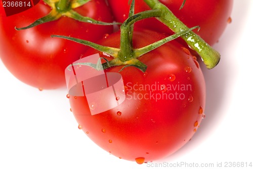 Image of Ripe tomato with water drops. Close-up view.
