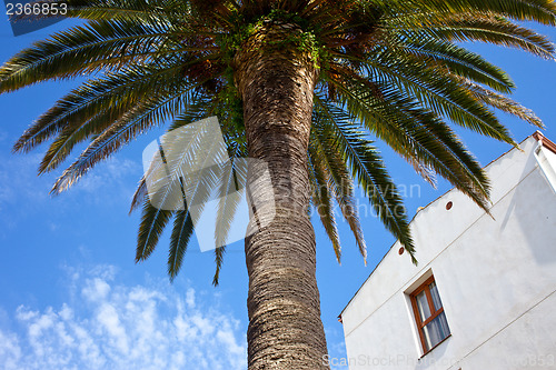 Image of Mediterranean architecture and vegetation