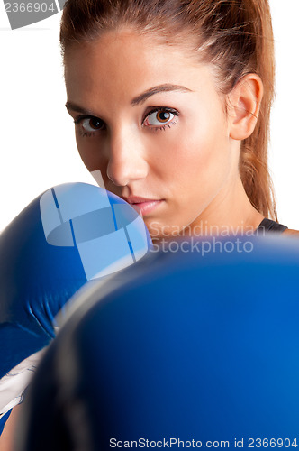 Image of Female Boxer Ready to Fight