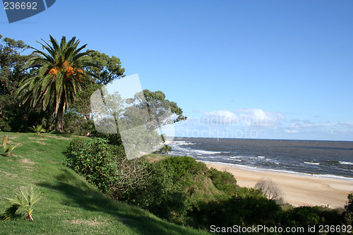 Image of Beach in Atlantida