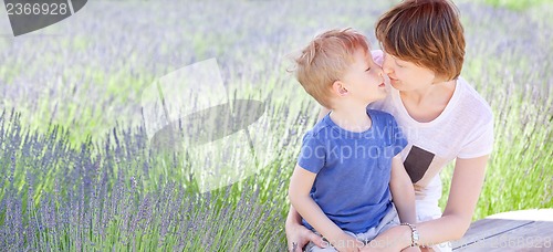 Image of family at lavender field