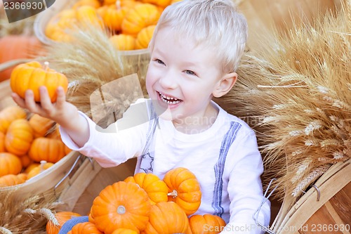 Image of boy at the pumpkin patch