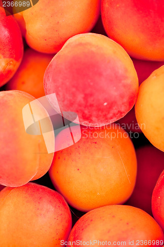 Image of fresh orange red apricots peaches macro closeup on market