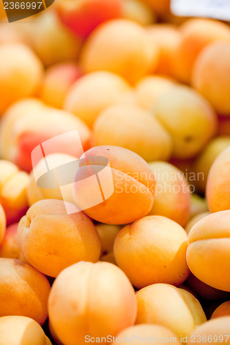 Image of fresh orange red apricots peaches macro closeup on market