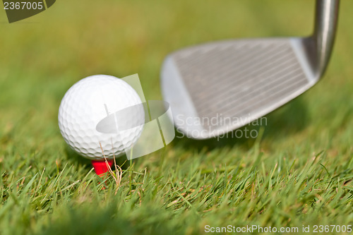 Image of golf ball and iron on green grass detail macro summer outdoor