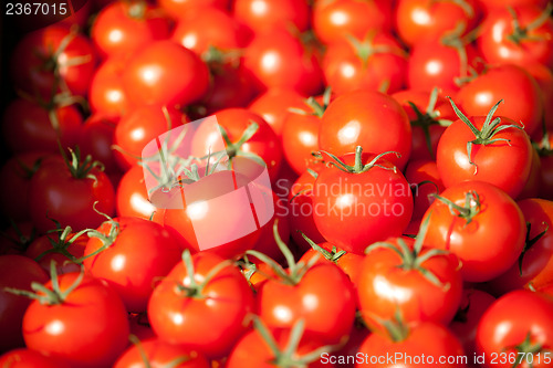 Image of fresh red tomatoes on market