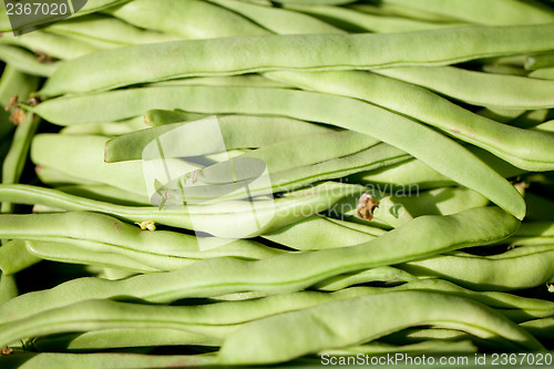 Image of fresh green beans macro closeup on market outdoor