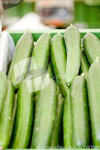Image of fresh green cucumber on market macro