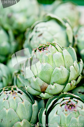 Image of fresh green artichokes macro closeup on market outdoor