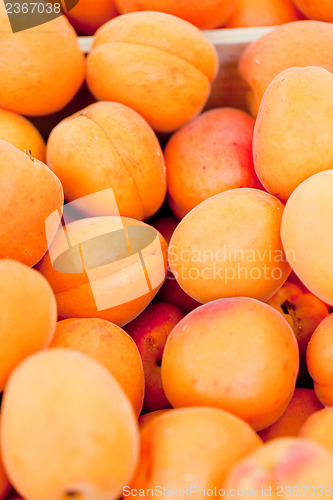 Image of fresh orange red apricots peaches macro closeup on market