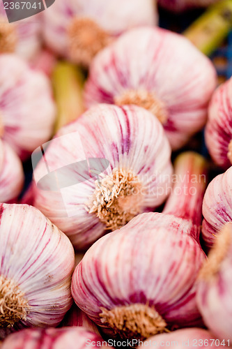 Image of group of purple white garlic in basket macro