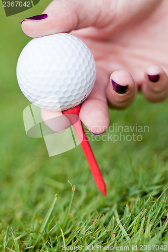 Image of golf ball and iron on green grass detail macro summer outdoor