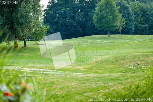 Image of beautiful park geen grass and trees background copyspace