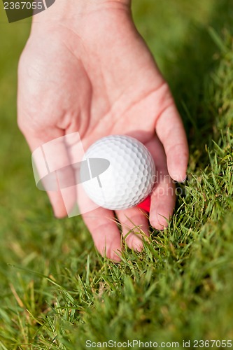 Image of golf ball and iron on green grass detail macro summer outdoor