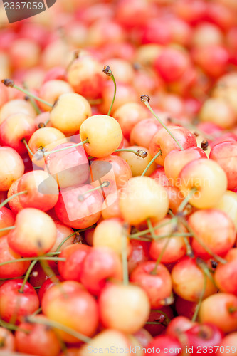 Image of  fresh yellow red sweet cherries macro closeup on market 