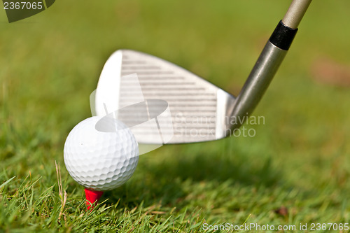 Image of golf ball and iron on green grass detail macro summer outdoor