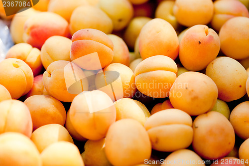 Image of fresh orange red apricots peaches macro closeup on market