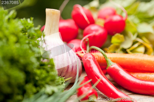 Image of fresh tasty homemade cream cheese and herbs with bread