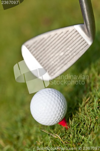 Image of golf ball and iron on green grass detail macro summer outdoor