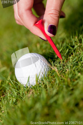 Image of golf ball and iron on green grass detail macro summer outdoor