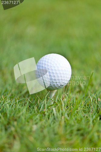 Image of golf ball and iron on green grass detail macro summer outdoor