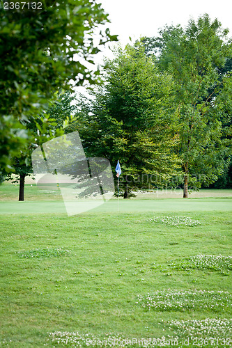 Image of beautiful park geen grass and trees background copyspace
