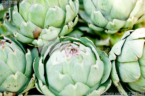 Image of fresh green artichokes macro closeup on market outdoor
