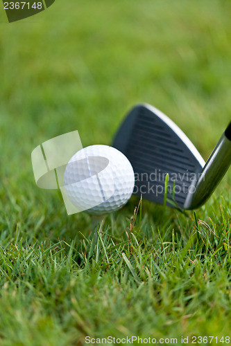 Image of golf ball and iron on green grass detail macro summer outdoor