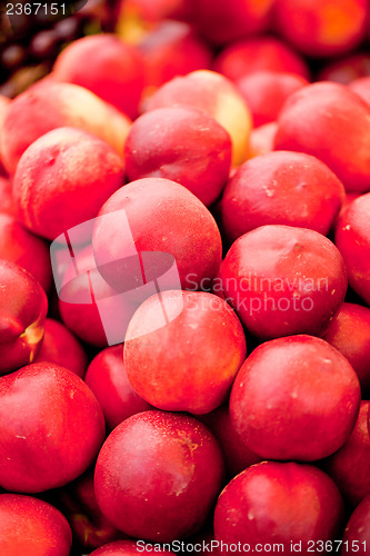 Image of fresh orange red apricots peaches macro closeup on market