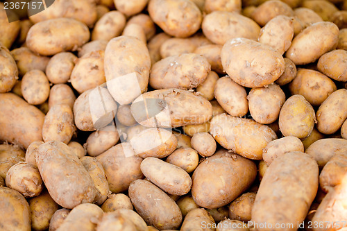 Image of group of potatoes macro closeup market outdoor