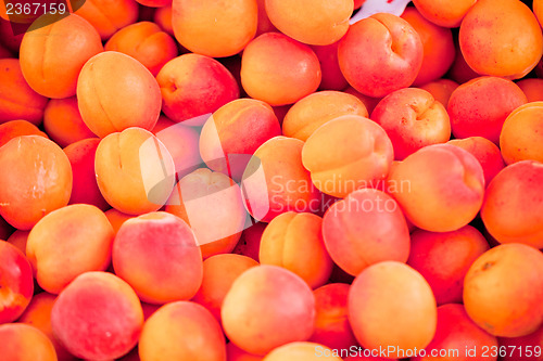 Image of fresh orange red apricots peaches macro closeup on market