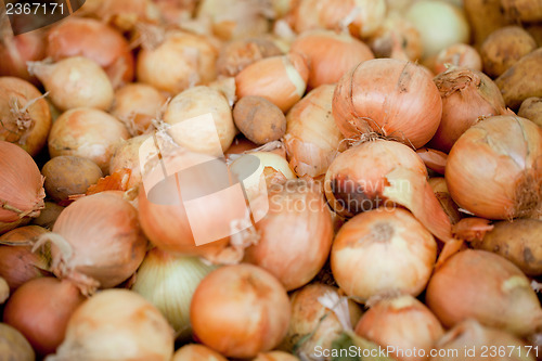 Image of group of golden onion macro closeup outdoor market