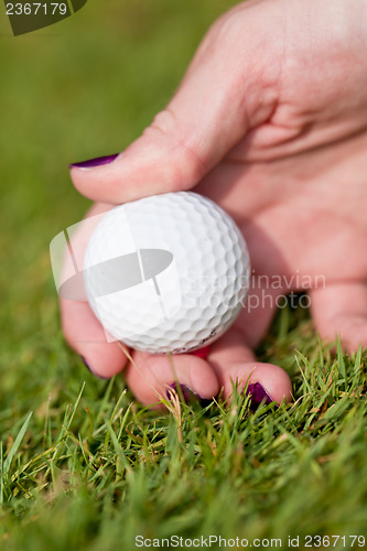 Image of golf ball and iron on green grass detail macro summer outdoor