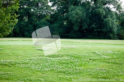 Image of beautiful park geen grass and trees background copyspace