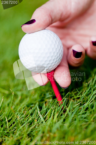 Image of golf ball and iron on green grass detail macro summer outdoor