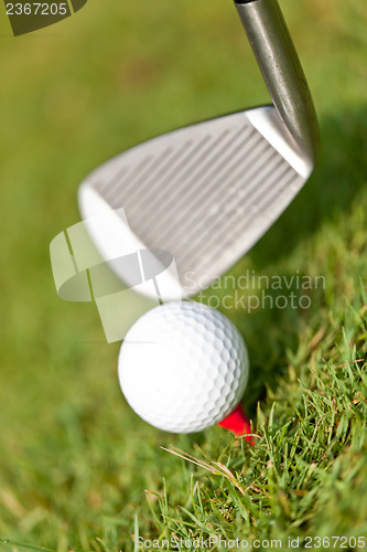 Image of golf ball and iron on green grass detail macro summer outdoor