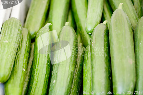 Image of fresh green cucumber on market macro